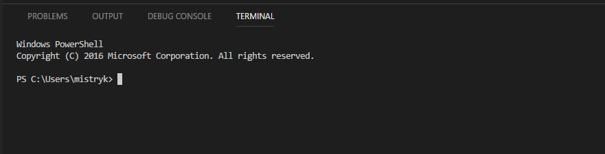 View of the terminal inside of VS Code